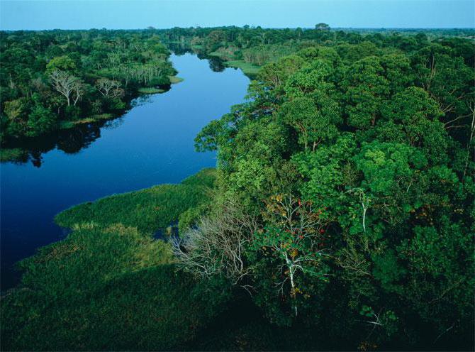 Amazon nereden akar? Nehir deltası ve diğer özellikleri