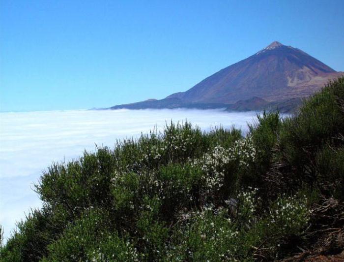 Ocak ayında tatil ve hava durumu Tenerife: fotoğraflar ve yorumlar