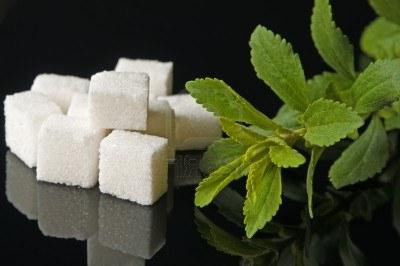 Şeker yerine diabetes mellitusta Stevia